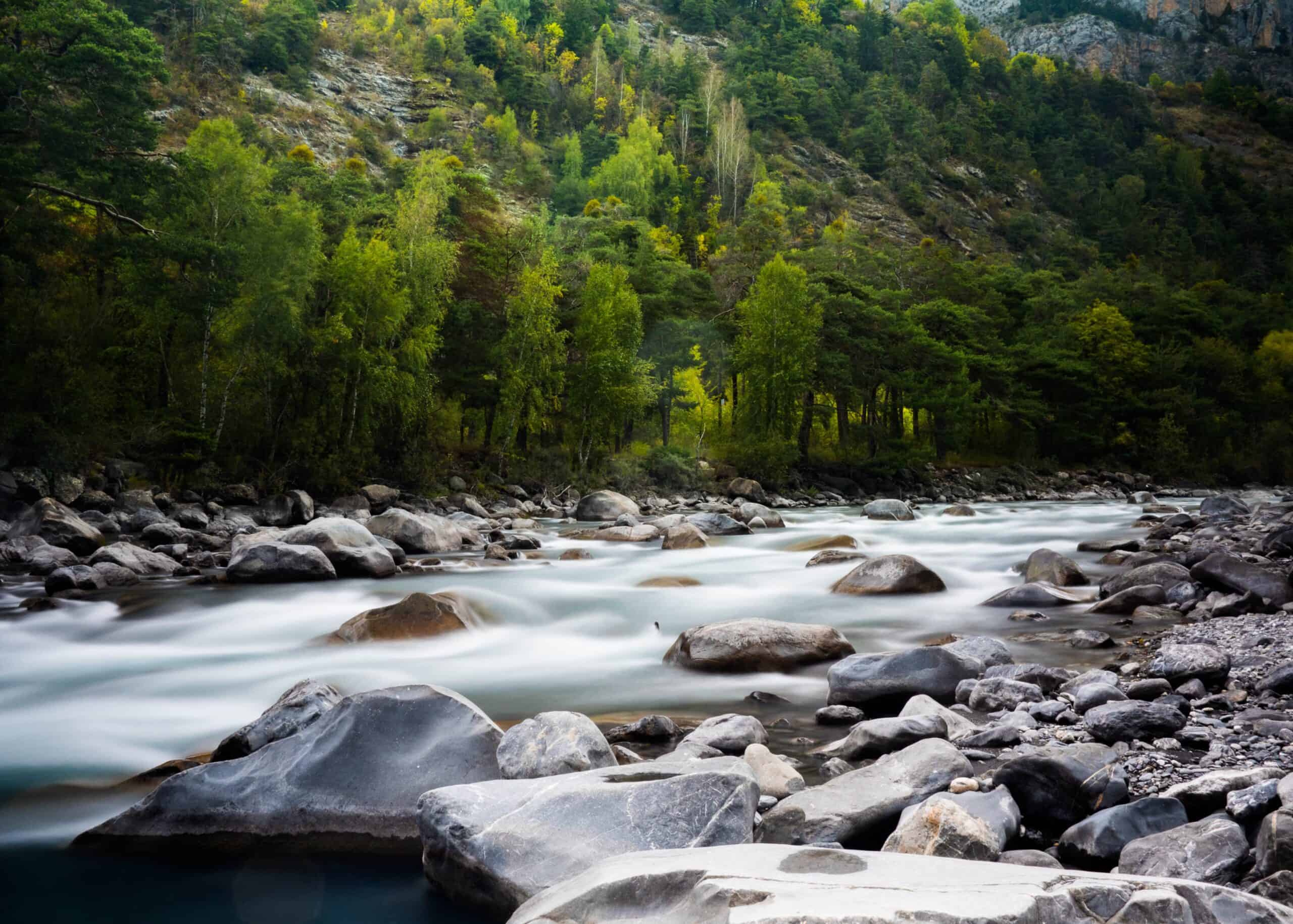 Image of a river with major rocks surrounded by trees